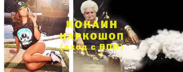 хмурый Бородино