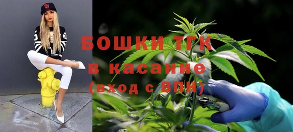 хмурый Бородино