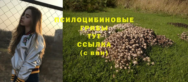 молекула духа Волосово