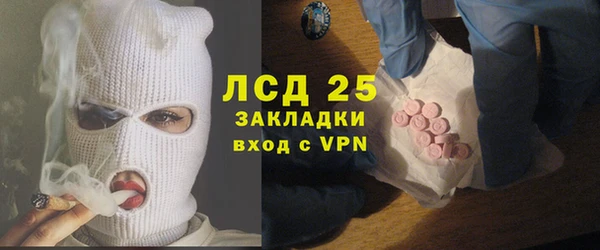 хмурый Бородино