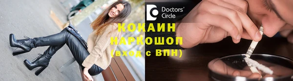 apvp Тайга