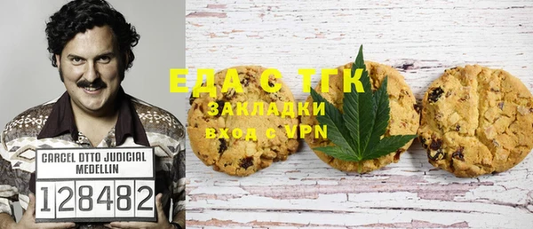хмурый Бородино