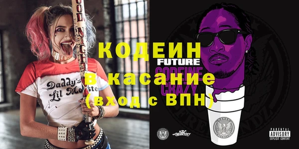 хмурый Бородино