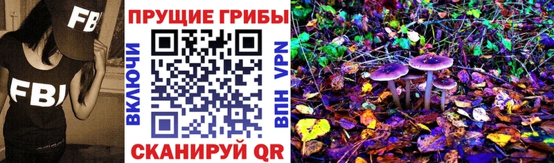 мориарти телеграм  Избербаш  Псилоцибиновые грибы ЛСД 